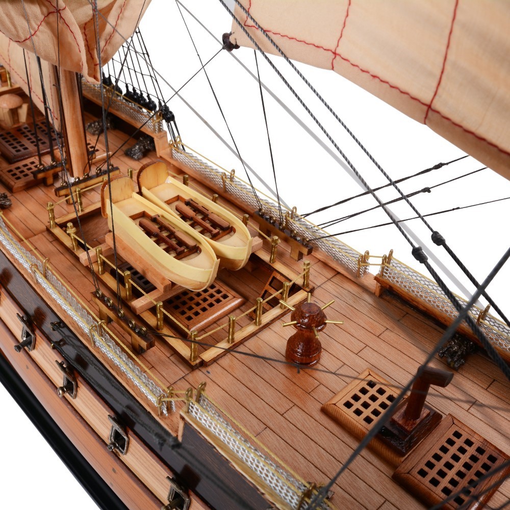 T357-HMS-Surprise-Medium-L02-1.jpg