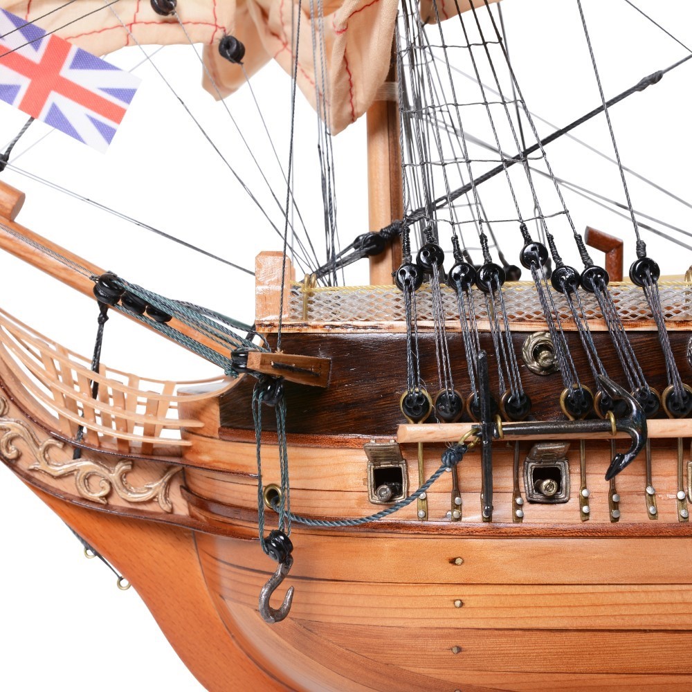 T357-HMS-Surprise-Medium-L05-1.jpg