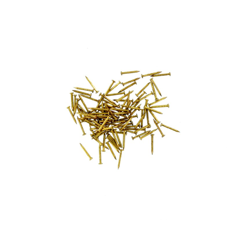100 goupilles pour Pin Pusher - Shesto (PPU8174/PG)